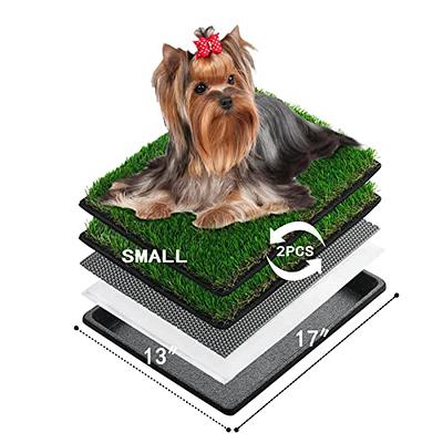  Pee Pad Holder for Small Dogs Indoor Potty Training Tray for  Little Puppy or Cat Litter Mat Only(Very Small) : Pet Supplies