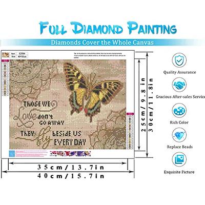 Adult 5d Diamond Painting Kit, Beginner's Full Drill Colorful Butterfly  Diamond Art Kit, Gift For Home Wall Decoration