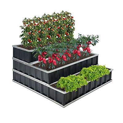 Elevated Planter Box, 2' x 4