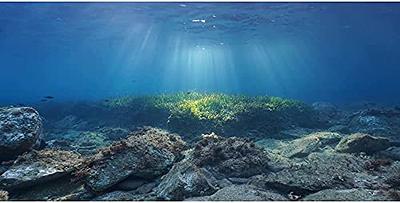 AWERT Ocean Floor Fish Tank Background Underwater Stone Aquarium