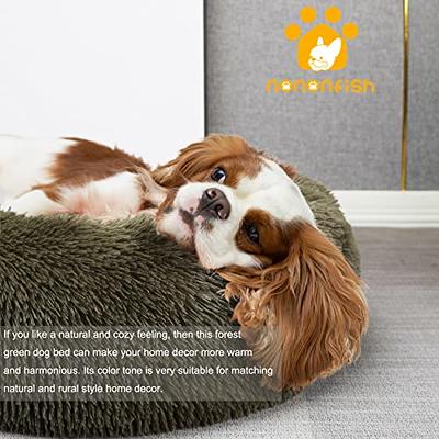 23 Dog Room Decor Ideas