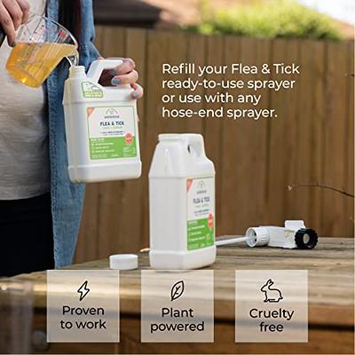 Dr. Killigan's Six Feet Under Non Toxic Insect Killer Spray | Indoor  Natural Pest Control | Flea, Tick, Pantry & Clothing Moths, Ant, &  Cockroach 