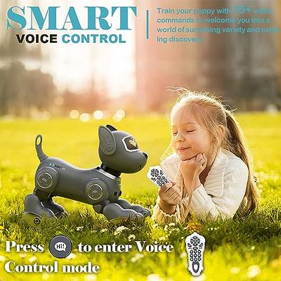 Kids Voice Control Smart Animal Robot Toy Walking Pet RC Dog Car