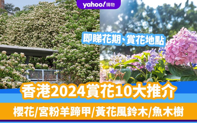 香港花季2024丨香港賞花10大推介！櫻花/宮粉羊蹄甲/黃花風鈴木/魚木樹/繡球花/藍花楹 附時間表＋賞花地點