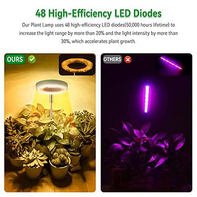 Grow Lights for Indoor Plants Growing, 6500K White LED Grow Lamp, 9  Dimmable Settings for Indoor Plants with White Spectrum, Adjustable  Gooseneck