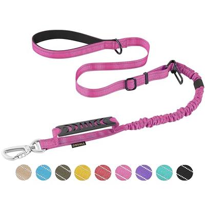 Reflective Dog Leash Strong with D Puppy Heavy Duty Durable