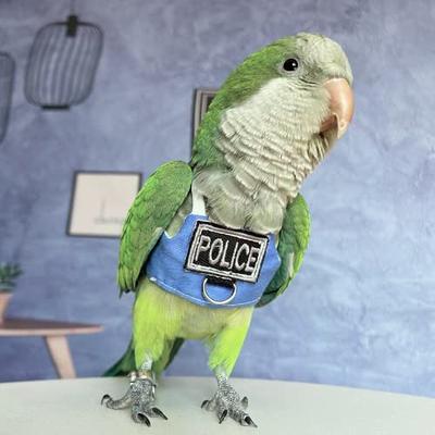 HEZHUO Bird Flight Harness Vest, Parrot Suit with Leash for Parakeets  Cockatiels Conures Budgies, Flying Clothes Rope and Handle Outdoor  Activities