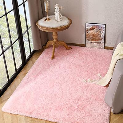 5X5 Ft Light Pink round Rug for Girls Bedroom Fluffy Carpet for Nursery Room