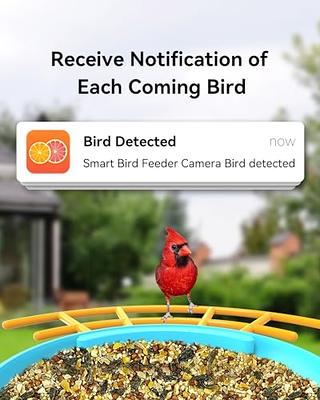  PIAOLGYI Accessories for Bird Buddy Smart Bird Feeder