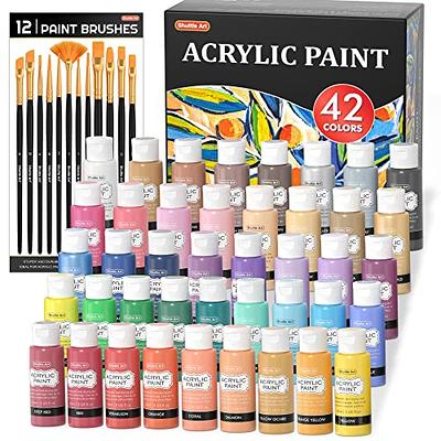 Shuttle Art 48 Pack Acrylic Paint Set, 30 Colors Acrylic Paint (36ml) with  10 Brushes 5 Canvas 1 Paint Knife 1 Palette 1 Art Sponge, Complete Set for