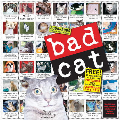 2024 Cats Wall Calendar - Yahoo Shopping