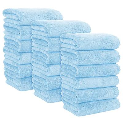 MOONQUEEN 6 Pack Premium Hand Towels - Quick Drying - Microfiber Coral  Velvet Highly Absorbent Towels - Multipurpose Use as Hotel, Bathroom,  Shower