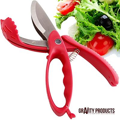 Salad Chopper Scissor, Heavy Duty Kitchen Salad Scissors, Multifunction  Double Blade Salad Cutting Tool (Red) - Yahoo Shopping