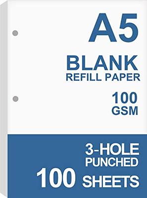 3 Hole Punched White Drawing Paper, Letter Size (8.5 x 11 in,100 Sheets)