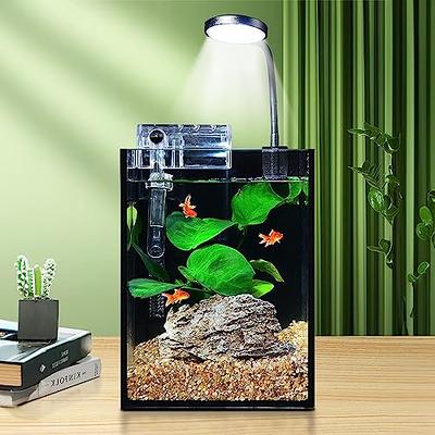 Betta Fish Tank Glass 5 Gallon Self Cleaning Small Aquarium Starter Kits  Desktop Room Decor w/LED Light & Filters Water Pump