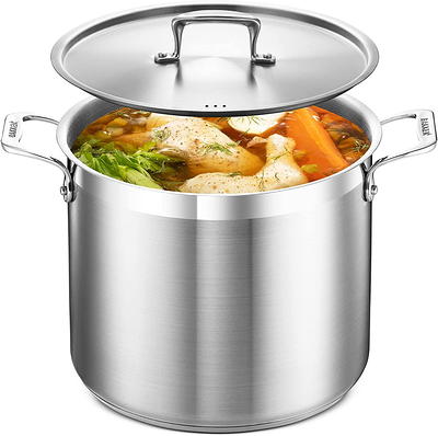 Razorri Electric Food Steamer 5-qt. Stainless Steel with Timer, 24H Delayed  Start, Auto Keep Warm, 68 oz. Water Capacity 20-cups Fresco FS20A - The  Home Depot