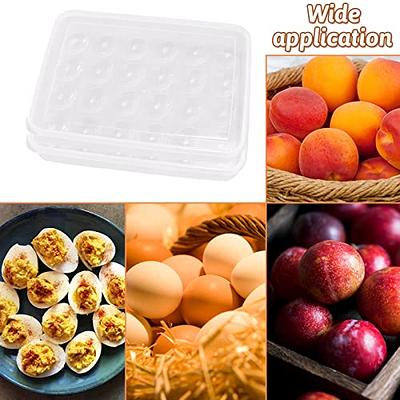 vacane Plastic Egg Holder for Refrigerator,Stackable Egg Holder Clear Tray  with Lid,BPA-Free Egg