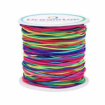 Plastic Lacing Cord String 20 Rainbow Colors for Bracelets Ornaments Art  Crafts Kits Jewelry Making Bracelets Necklaces