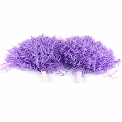 Praisebank Multi-Colored Pom poms, 800pcs Assorted Size, Pom Poms