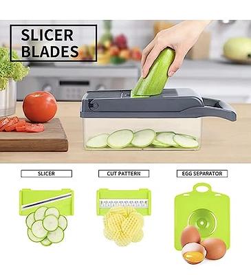  MAIPOR Vegetable Chopper Pro, Multifunctional 13 in 1 Food  Chopper, Kitchen Vegetable Slicer Dicer Cutter With 8 Blades for Onion  Carrot and Garlic With Container (Blue) : Home & Kitchen