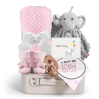 iAOVUEBY Baby Shower Gifts, Baby Boy Gifts, Christmas Baby Gift Set for  Newborn Essentials Baby Blanket Elephant Lovey Wooden Rattle, Infant Bibs