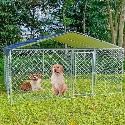 Our Best Tips & Tricks For Crate Training Your Puppy — Standing Stone  Kennels