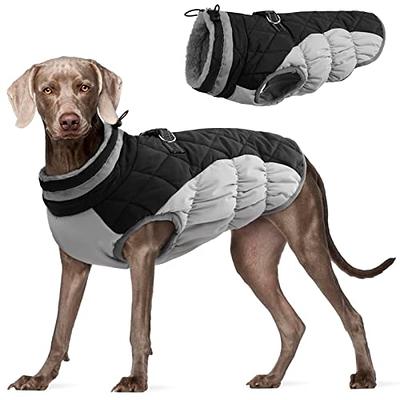  Due Felice Dog Coat Fleece Dog Jacket Dog Winter Coat for  Small Medium Large Dogs Waterproof Snow Jacket with Harness Hole Reflective  Turtleneck Two-Legged Cold Weather Vest Blue/XL : Pet