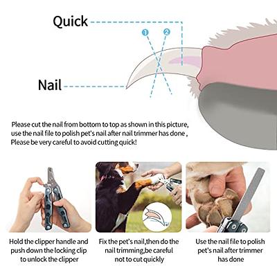 Dog & Cat Nail Clipper - DogRook