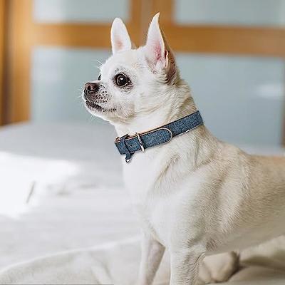  Dog Collar for Small Medium Large Dogs Pet Collars