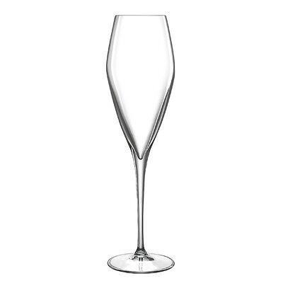 Talismano 7 oz Prosecco / Sparkling Small Wine Glasses (Set of 4)