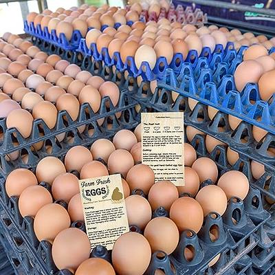 200 Pcs Fresh Farm Eggs Handling Instructions Business Cards - Egg Stamps  for Fresh Eggs Cartoons Baskets Box Handling Instructions Care Accessories  Cards Labels- 2 x 3.5 - Yahoo Shopping