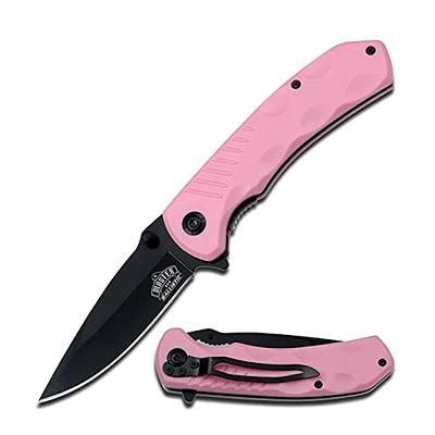  SE Spring Assisted Clip Point Folding Knife with Dark