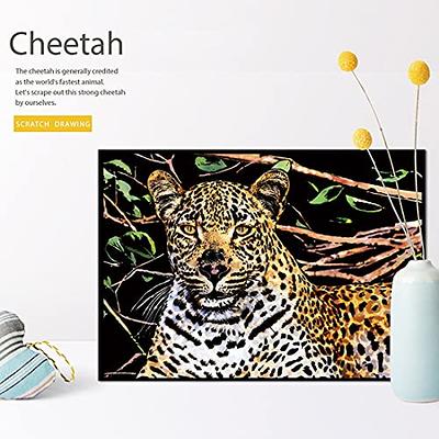 2 Pack Animal Scratch Art Rainbow Painting Paper, Engraving Art & Craft  Sets, Creative foil Scratch