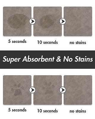 Quick Dry Absorbent Dog Food Mat - 19x12 in Diatom Mud Anti-Slip