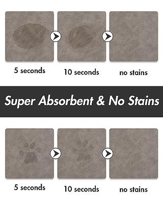 Quick Dry Absorbent Dog Food Mat - 19x12 in Diatom Mud Anti-Slip Dog Water  Bowl Mat, No Stains Pet Feeding Mat for Messy Drinkers Small Dogs