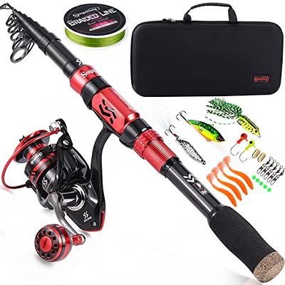  Pen Fishing Rod Kit, 39 Inch Mini Fishing Pole Portable  Telescopic Fishing Rod with Spinning Reel Fishing Rod Reel Combo for Travel  Saltwater Freshwater Sea : Sports & Outdoors