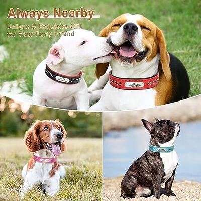 Pet Collar Pet Collar Bell Small Heavy Duty Pet Collar Adjustable Leather  Dog Collar with Dog Decor Diamond Buckle Collar for Small Medium Large Pet