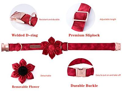  DILLYBUD Dog Collar for Small Medium Large Dogs, Soft Neoprene  Padded Nylon Pet Collar with Quick Release Buckle, Cute Flower Dog Collars  Adjustable for Female Girl Dogs Male Boy Dogs