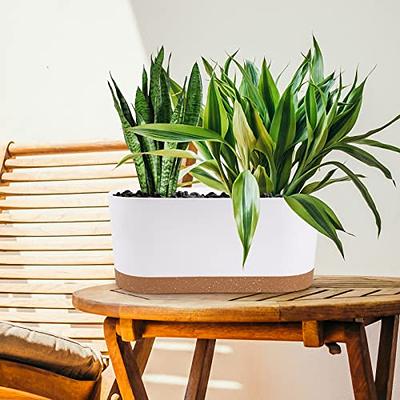 These Affordable Planter Trays Will Save Your Window Sills