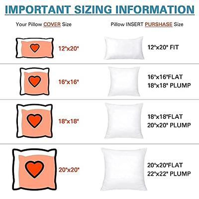 OTOSTAR Pack of 2 Hypoallergenic Throw Pillow Inserts, 18 x 18 Square  Cushion Inner Soft Fluffy Plump Stuffer Cushion Pads White Decorative  Pillow Inserts 