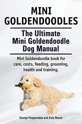 A Complete Guide on Potty Training Your Goldendoodle