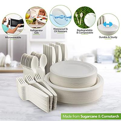 BIRCHIO 250 Piece Biodegradable Paper Plates Set (EXTRA LONG