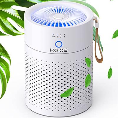 LEVOIT Air Purifier for Home Bedroom, HEPA Air Fresheners Filter, Small  Room Air Cleaner with Fragrance Sponge for Smoke, Allergies, Pet Dander,  Odor, Dust Remover, Office, Desktop, Table Top (2 Pack) 