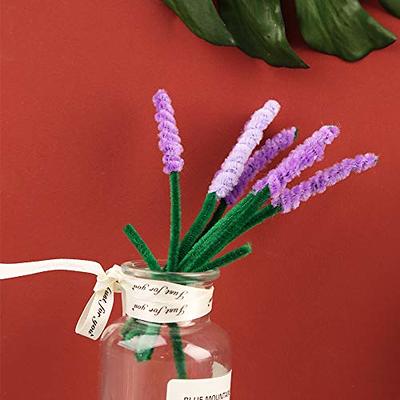 100 Pieces Pipe Cleaners Chenille Stem, Solid Color Pipe Cleaners Set for  Pipe Cleaners DIY Arts Crafts Decorations, Chenille Stems Pipe Cleaners  (Fruit Green) 