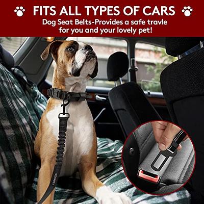 Dog Safety Seat Belt with Elastic Bungee Buffer –