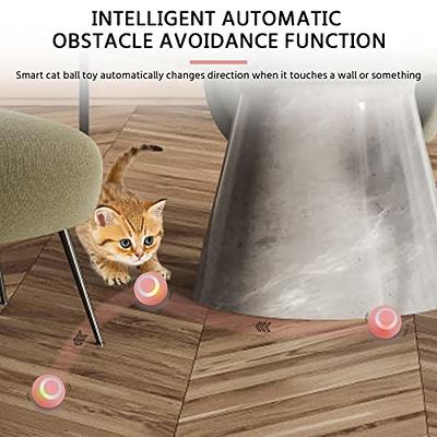  Wloom Power Ball 2.0, Wloom Power Ball 2.0 Cat Toy, Aiveys  Smart Ball Cat, USB Charging Smart Pet Toy Ball, Interactive Pet Ball for  Cat, Automatic Moving Rolling Ball for