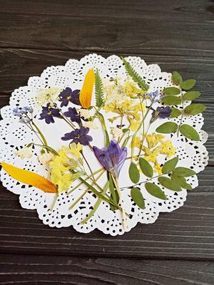 Pressed Flower, Flowers For Crafts, Pressed Resin, Mixed Dry Flowers, Flower  Art, Dried Flower, Jewelry Making - Yahoo Shopping