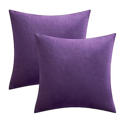 Outdoor Decorative Plush Velvet Throw Pillow Covers Sofa Accent Couch Pillows (Set of 2), Purple