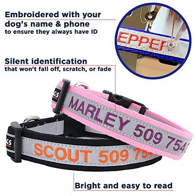 Personalized Dog Collar With Embroidered Pet Name, Adjustable