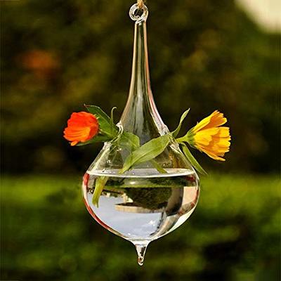 Creative Simple Clear Glass Vase Tubes Set Hanging Flower
